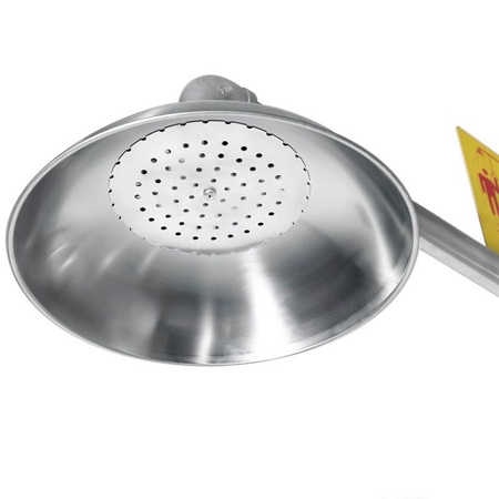 Stainless Steel Combination Shower & Eyewash, DAAO6610